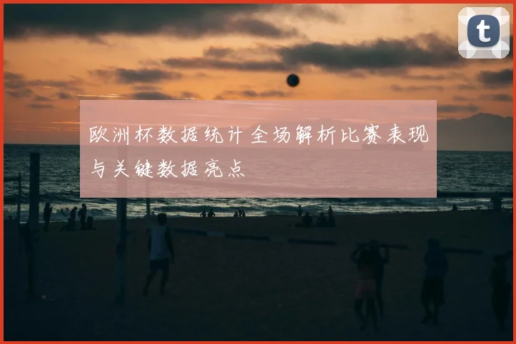 欧洲杯数据统计全场解析比赛表现与关键数据亮点