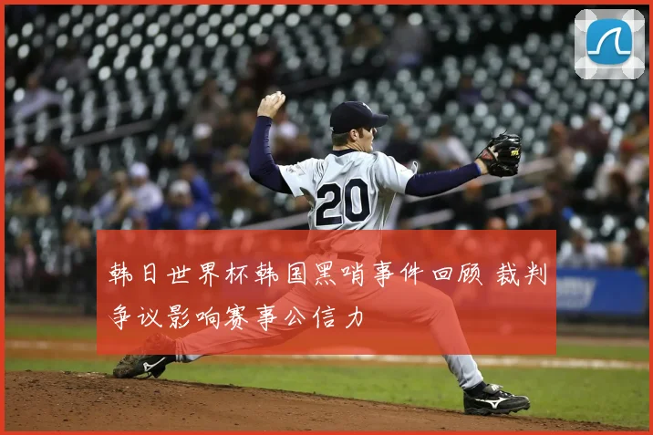 韩日世界杯韩国黑哨事件回顾 裁判争议影响赛事公信力
