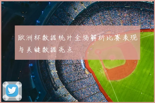 欧洲杯数据统计全场解析比赛表现与关键数据亮点